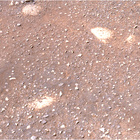 stereo_tn NRF_0015_0668275677_973EBY_N0030188NCAM00400_14_0LLJ03