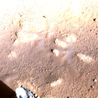 stereo_tn NRF_0015_0668287502_553FDR_N0030386NCAM00305_0A1195J05