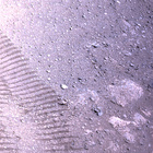 stereo_tn NLF_0031_0669696184_821FDR_N0030834NCAM00601_0A00LLJ02