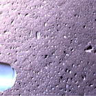 stereo_tn NRF_0031_0669701976_884FDR_N0031044NCAM00600_0A00LLJ02