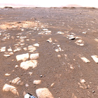 stereo_tn NRF_0032_0669789110_255EJP_N0031266NCAM03032_01_295J04