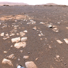 stereo_tn NRF_0032_0669789110_255EJP_N0031266NCAM03032_XX_195J04