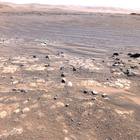 stereo_tn NLF_0135_0678933829_682EJP_N0051388NCAM03135_XX_195J04
