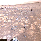 stereo_tn NRF_0136_0679020412_787EJP_N0051572NCAM03136_01_295J04