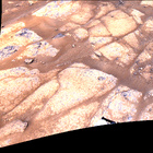 stereo_tn NRF_0137_0679105239_661EJP_N0051812NCAM03137_07_195J03