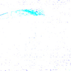 stereo_tn FRF_0144_0679691709_040EJP_N0051812FHAZ00210_01_295J04