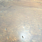 HSF_0163_0681410932_255EJP_N0110001HELI00001_000085J05