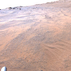 stereo_tn NRF_0170_0682039366_558EJP_N0060892NCAM03170_XX_195J03