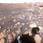 stereo_tn NRF_0210_0685593603_793EJP_N0072050NCAM03210_XX_195J03