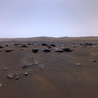 stereo_tn NRF_0340_0697121914_417EJP_N0090364NCAM00420_XX_195J01