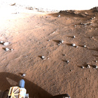 stereo_tn NRF_0341_0697225502_848EJP_N0092818NCAM03341_XX_195J01