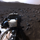 stereo_tn NRF_0352_0698199850_257EJP_N0095676NCAM03352_XX_195J01