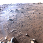stereo_tn NRF_0355_0698466990_184EJP_N0099314NCAM03355_XX_195J01