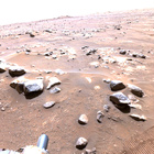 stereo_tn NRF_0361_0698987793_996EJP_N0101224NCAM00301_01_295J02