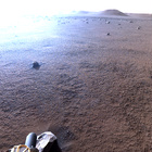 stereo_tn NRF_0388_0701396672_737EJP_N0151334NCAM03388_XX_195J01