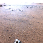 stereo_tn NRF_0396_0702101519_096EJP_N0180000NCAM03396_XX_195J01