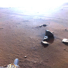 stereo_tn NRF_0399_0702370728_774EJP_N0190000NCAM03399_XX_185J01