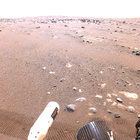 stereo_tn NRF_0405_0702883502_559EJP_N0201422NCAM02404_XX_185J01