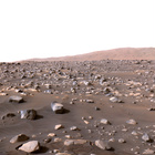 stereo_tn NRF_0420_0704213098_508EJP_N0232532NCAM13419_XX_195J01