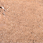 stereo_tn NLF_0433_0705378796_050EJP_N0242824NCAM00687_00_095J02