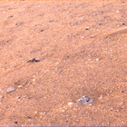 stereo_tn NRF_0433_0705378609_070EJP_N0242824NCAM00687_00_095J02