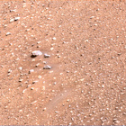 stereo_tn NRF_0433_0705379188_050EJP_N0242824NCAM00687_00_095J02