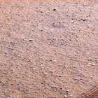 stereo_tn NRF_0433_0705381958_284EJP_N0242932NCAM00687_00_095J01