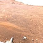 stereo_tn NRF_0441_0706096031_804EJP_N0244516NCAM00301_01_295J01