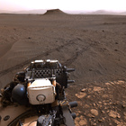 stereo_tn NRF_0461_0707871340_883EJP_N0260630NCAM03461_XX_195J01