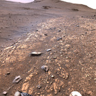 stereo_tn NRF_0501_0711424026_495EJP_N0261154NCAM03501_XX_195J01