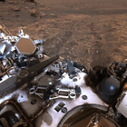 stereo_tn NRF_0501_0711424443_278EJP_N0261154NCAM02501_XX_195J01