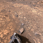 stereo_tn NRF_0502_0711507413_414EJP_N0261222NCAM03502_XX_195J01