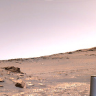 stereo_tn NRF_0502_0711508553_823EJP_N0261222NCAM04502_XX_195J01