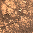 stereo_tn NRF_0504_0711684404_926EJP_N0261222NCAM00709_06_095J01
