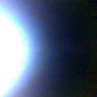 NLF_0568_0717370598_694EJP_N0290000NCAM00501_01_295J01