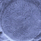 SI1_0568_0717381118_250ECM_N0290000SRLC02501_0000LMJ