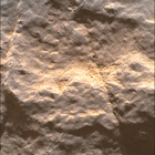 SIF_0570_0717551174_503EBY_N0290000SRLC00762_0000LMJ