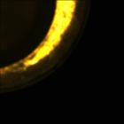 CCF_0579_0718365761_272EBY_N0290000CACH00222_05_0LLJ