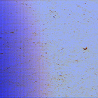 stereo_tn NLF_0658_0725353794_270EJP_N0320274NCAM08111_08_095J01