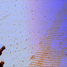 stereo_tn NLF_0658_0725353794_270EJP_N0320274NCAM08111_09_095J01