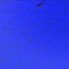 stereo_tn NLF_0658_0725353794_270EJP_N0320274NCAM08111_10_095J01