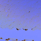stereo_tn NLF_0658_0725353794_270EJP_N0320274NCAM08111_14_095J01
