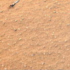 stereo_tn NRF_0658_0725353478_755EJP_N0320274NCAM08111_10_095J01