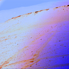 stereo_tn NRF_0658_0725353794_270EJP_N0320274NCAM08111_01_095J01