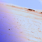 stereo_tn NRF_0658_0725353794_270EJP_N0320274NCAM08111_04_095J01