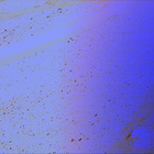 stereo_tn NRF_0658_0725353794_270EJP_N0320274NCAM08111_05_095J01
