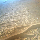 HSF_0689_0728119118_858EJP_N0410001HELI00003_000085J02