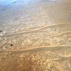 HSF_0689_0728119136_841EJP_N0410001HELI00005_000085J02