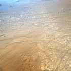 HSF_0689_0728119144_907EJP_N0410001HELI00006_000085J02