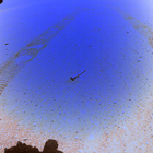 stereo_tn FLF_0693_0728459809_940EJP_N0321196FHAZ08111_XX_095J01